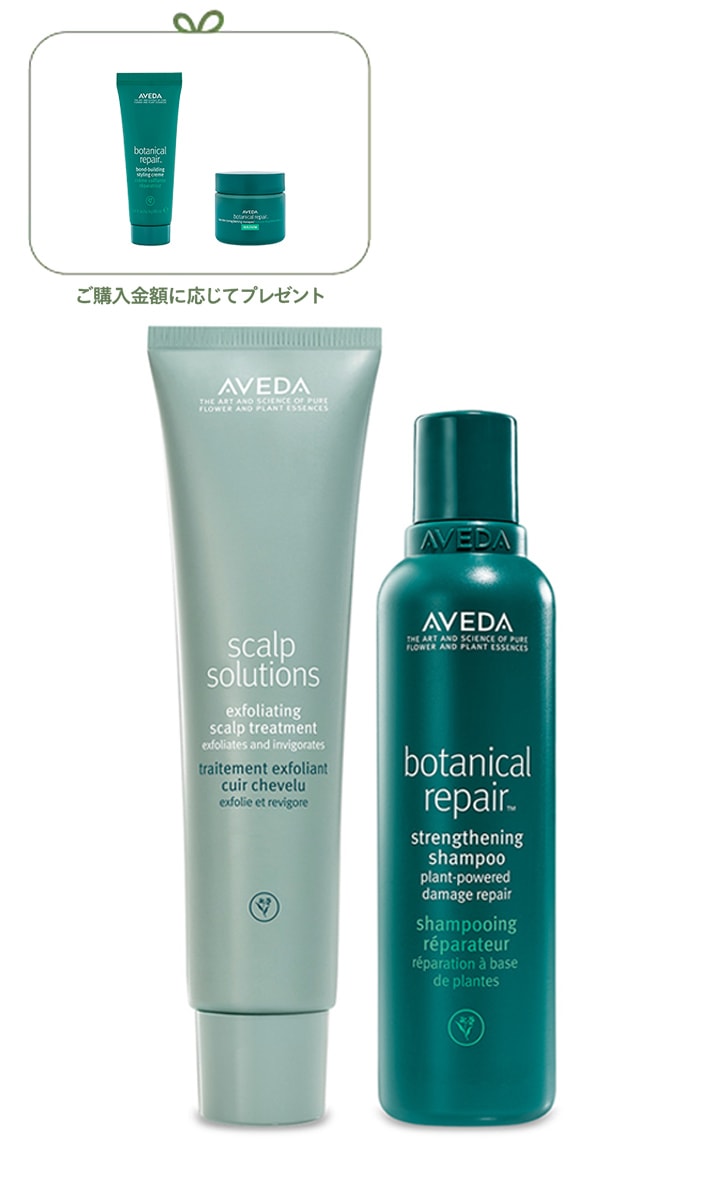 SS Scalp-treatment + BR shampoo Set