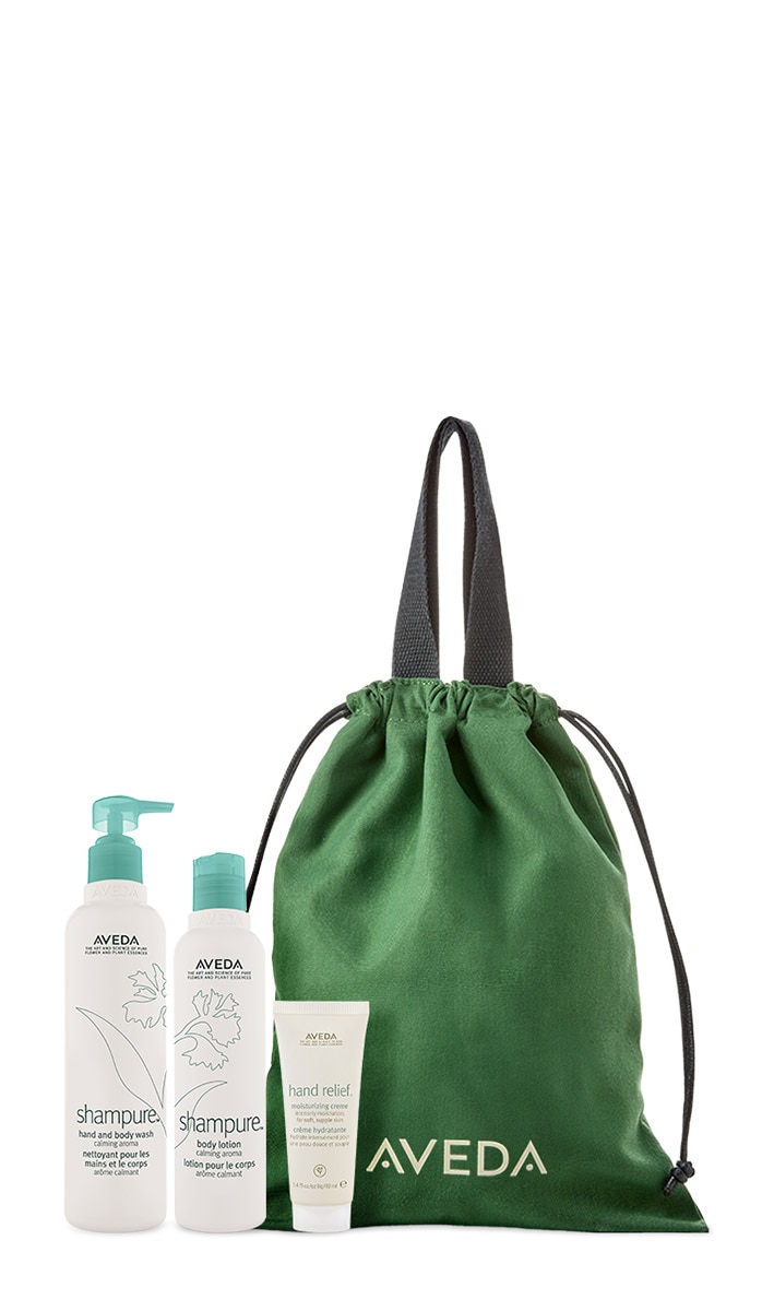 shampure hand&body set